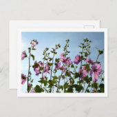 ツリー許可開花 ポストカード (正面/裏面)