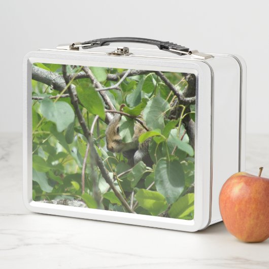ツリー金属弁当箱に隠れているリス メタルランチボックス (インサイチュ)
