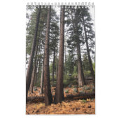 ツリー カレンダー (カバー)