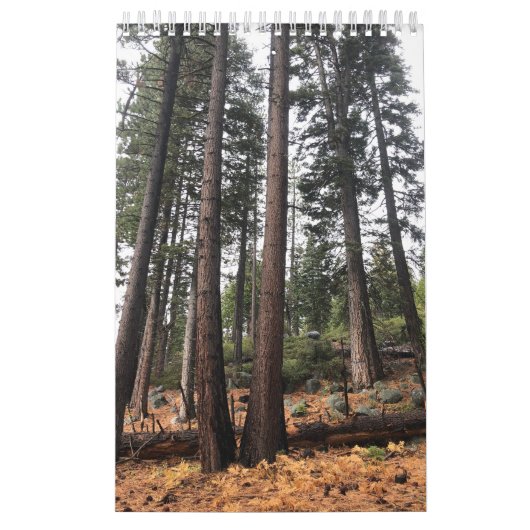 ツリー カレンダー (カバー)