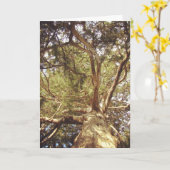 ツリー カード (黄色い花)