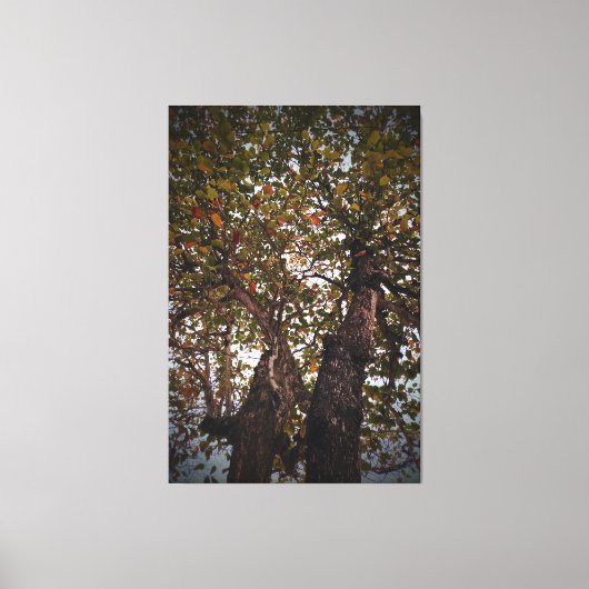 ツリー キャンバスプリント (正面)
