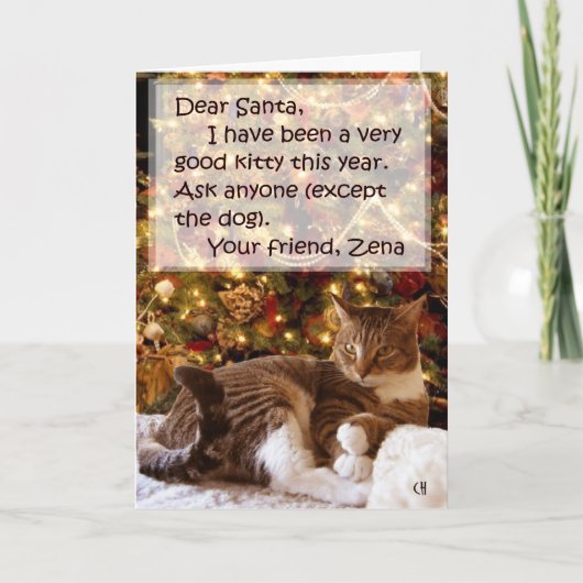 ツリー・クリスマスカードの下のゼナ シーズンカード (正面)