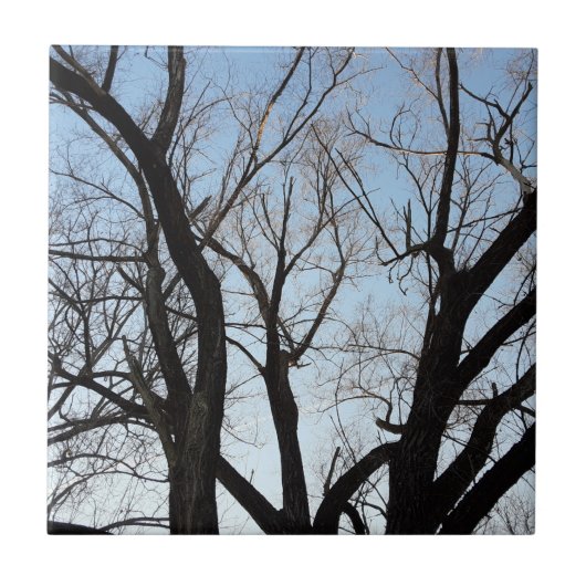 ツリー タイル (正面)