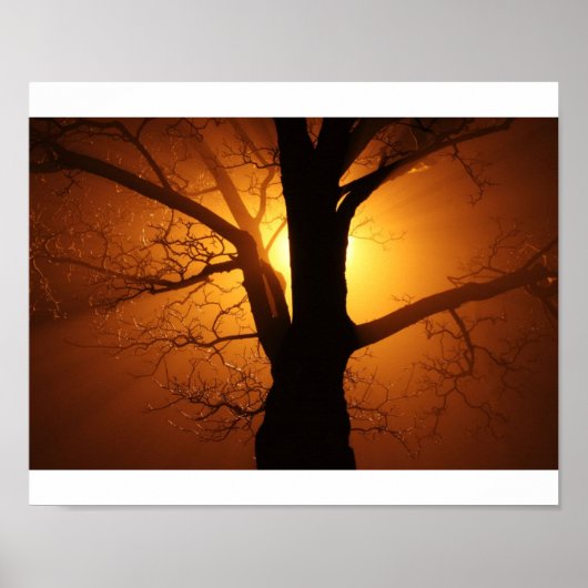 ツリー ポスター (正面)