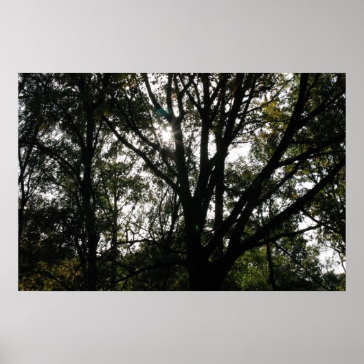 ツリー ポスター (正面)