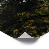 ツリー ポスター (角)