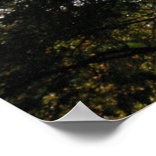 ツリー ポスター (角)