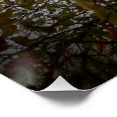 ツリー ポスター (コーナー)