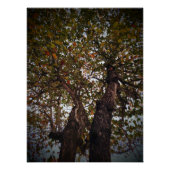 ツリー ポスター (正面)