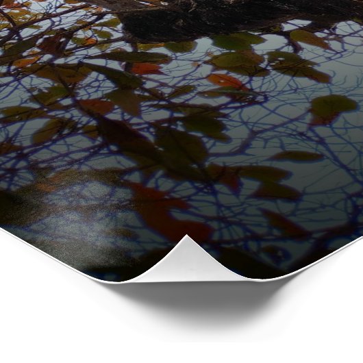 ツリー ポスター (コーナー)