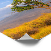 ツリー ポスター (角)