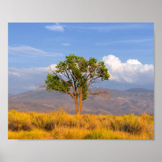 ツリー ポスター (正面)