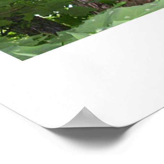 ツリー。02 ポスター (角)