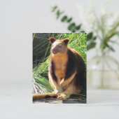 ツリーkanga ポストカード (スタンド正面)