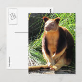 ツリーkanga ポストカード (正面/裏面)