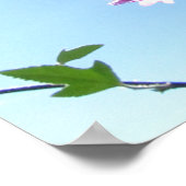 ツリーMallowの開花 ポスター (角)