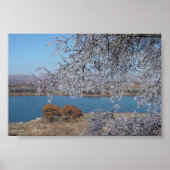 ツリ凍っていー ポスター (正面)