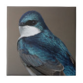 ツリ素晴らしー・ツバメが写真家を見る タイル (正面)