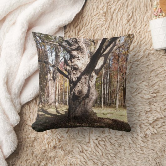 ツリ風変わりー クッション (ブランケット)