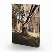 ツリ風変わりー フォトブロック (右)