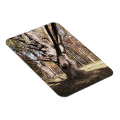 ツリ風変わりー マグネット (右側)