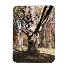 ツリ風変わりー マグネット