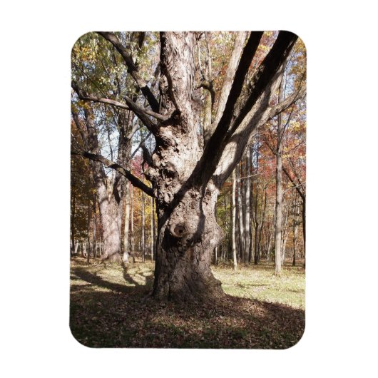 ツリ風変わりー マグネット (縦)