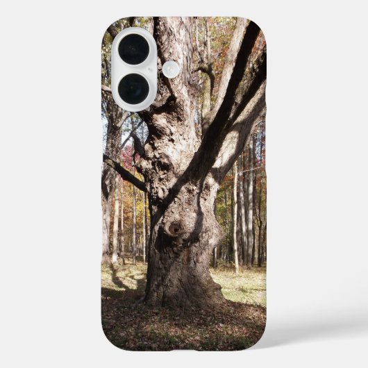 ツリ風変わりー Case-Mate iPhoneケース (裏面)
