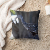 ツルシギモドキ、泣き鳥 クッション (ブランケット)