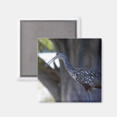 ツルシギモドキ、泣き鳥 マグネット (正面/裏面)