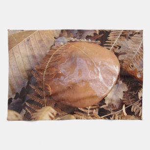 ツルツルのジャッキ茶タオル キッチンタオル