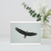 ツルツルツル ポストカード (スタンド正面)