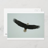 ツルツルツル ポストカード (正面/裏面)