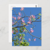 ツワイグミットブルメン ポストカード (正面/裏面)