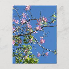 ツワイグミットブルメン ポストカード