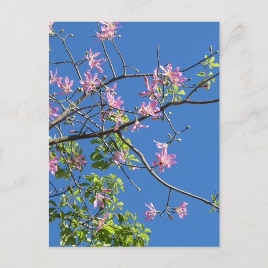 ツワイグミットブルメン ポストカード (正面)