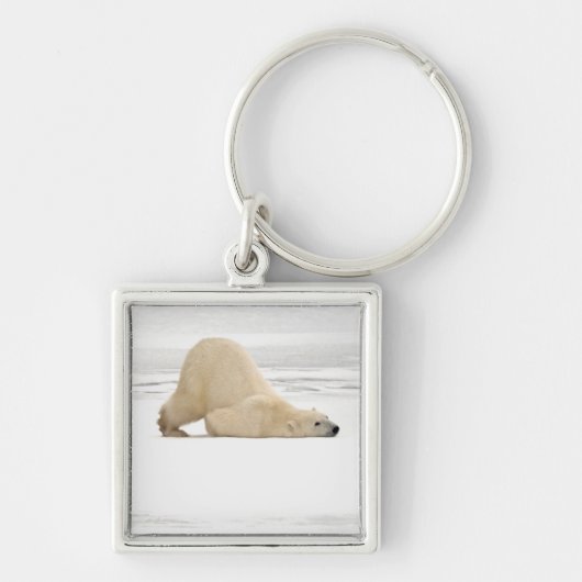 ツンドラに引っ掻き付けるホッキョクグマ凍ってい。 キーホルダー (正面)