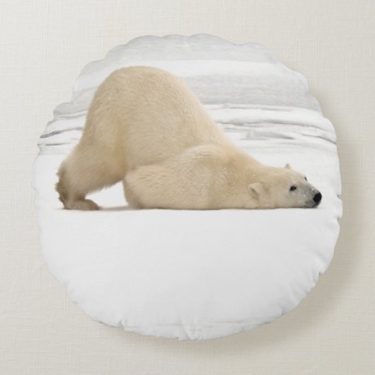 ツンドラに引っ掻き付けるホッキョクグマ凍ってい。 ラウンドクッション (正面)