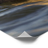 ツンドラの池の中の一組の求愛のキングのクモ ポスター (角)