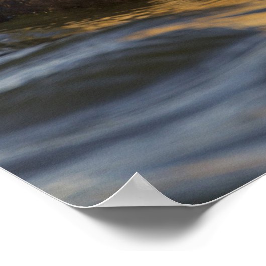 ツンドラの池の中の一組の求愛のキングのクモ ポスター (角)