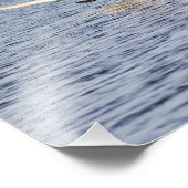 ツンドラの豚の繁殖のペアがオフにする フォトプリント (角)