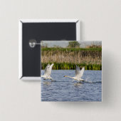 ツンドラの豚の繁殖のペアがオフにする 缶バッジ (正面&裏面)