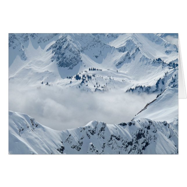 ツンドラ (正面横)