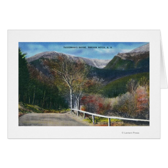 ツーカーマンズラバインのビュー (正面横)