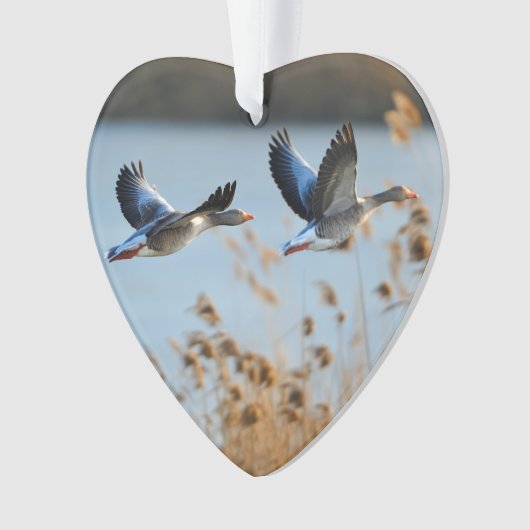 ツーグースワイルドライフレイクデイトフォトカスタム オーナメント (正面)