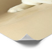 ツーゴールデンラブラドールパピーズ ポスター (角)