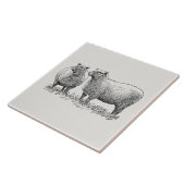 ツーシープア図解入りの、写真付きのート タイル (側面)