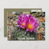 ツーソンの春 ポストカード (正面/裏面)