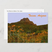 ツーソン山とワイルドフラワーズアットサンセット ポストカード (正面/裏面)